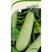 Кабачок кабачки Садовита Искандер F1 00140096 Кабачок кабачки Садовита Искандер F1 00140096