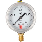 Манометр BD ДМ 2 100 Р 1152100004