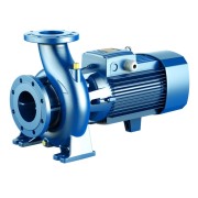 Насос Pedrollo F 65/200 В 4FN65165BE Насос Pedrollo F 65/200 В 4FN65165BE