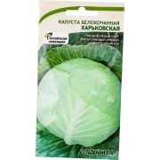 Зимняя белокочанная капуста капуста Садовита Харьковская 00183533