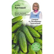 Огурец семена ОКТЯБРИНА ГАНИЧКИНА Кустовой 119197